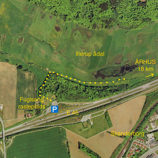 Archäologie und Funde der Istævonen