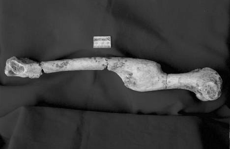 Ein Bild, das Statue, Schwarzweiß, Im Haus, Kunst enthält.

KI-generierte Inhalte können fehlerhaft sein.