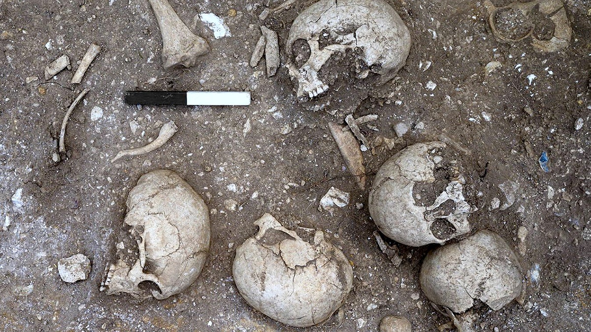 Ein Bild, das Gelände, Dickschaliger Kartoffelbovist, Stein, draußen enthält.

KI-generierte Inhalte können fehlerhaft sein.