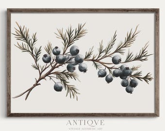 Ein Bild, das Frucht, Beeren, Winter, Baum enthält.

KI-generierte Inhalte können fehlerhaft sein.